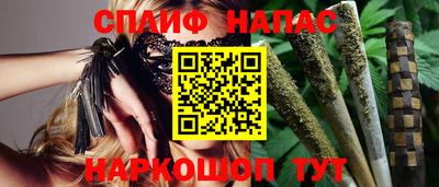 СК Краснознаменск