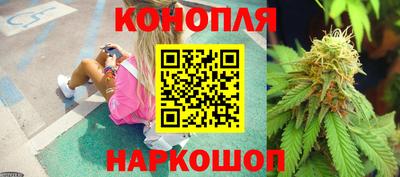СК Краснознаменск