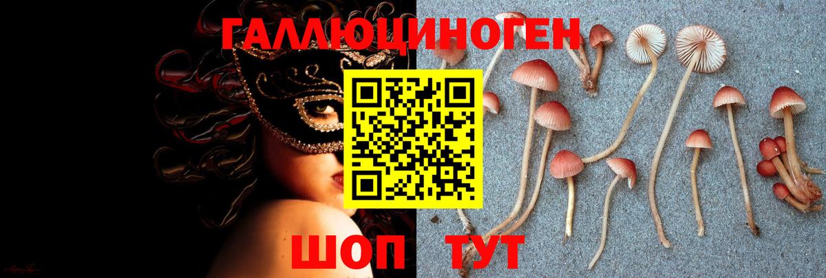 Псилоцибиновые грибы Psilocybine cubensis  Вход с VPN  Галлюциногенные грибы Psilocybine cubensis  Елизово 